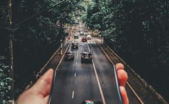 The Importance of Protecting Our Environment